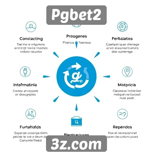 Recursos e funcionalidades do site Pgbet2